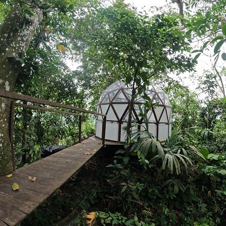 Taorayina Nature Lodge- Immersed In The Forest Эль-Саино Экстерьер фото