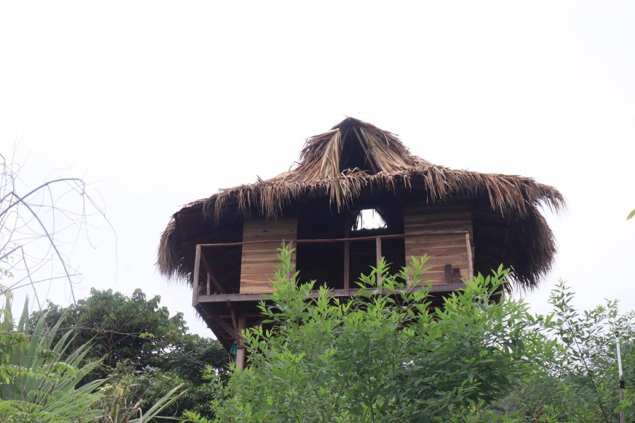 Taorayina Nature Lodge- Immersed In The Forest Эль-Саино Экстерьер фото