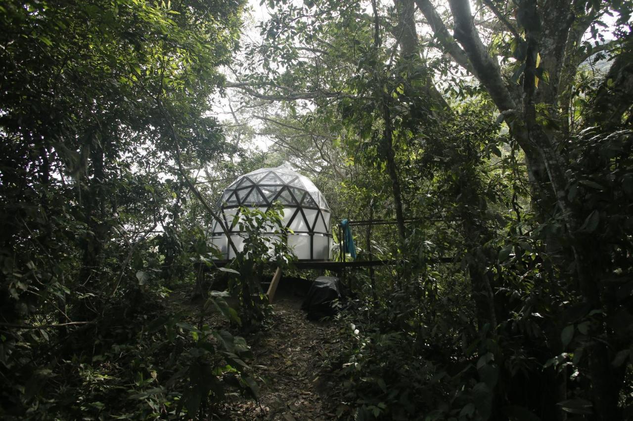 Taorayina Nature Lodge- Immersed In The Forest Эль-Саино Экстерьер фото