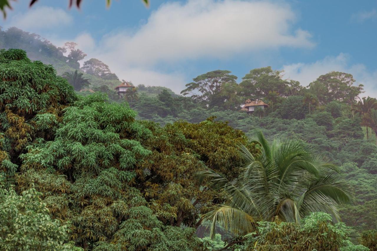 Taorayina Nature Lodge- Immersed In The Forest Эль-Саино Экстерьер фото