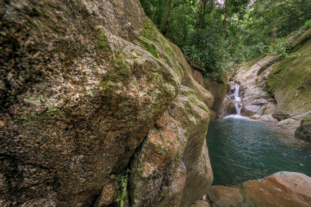 Taorayina Nature Lodge- Immersed In The Forest Эль-Саино Экстерьер фото