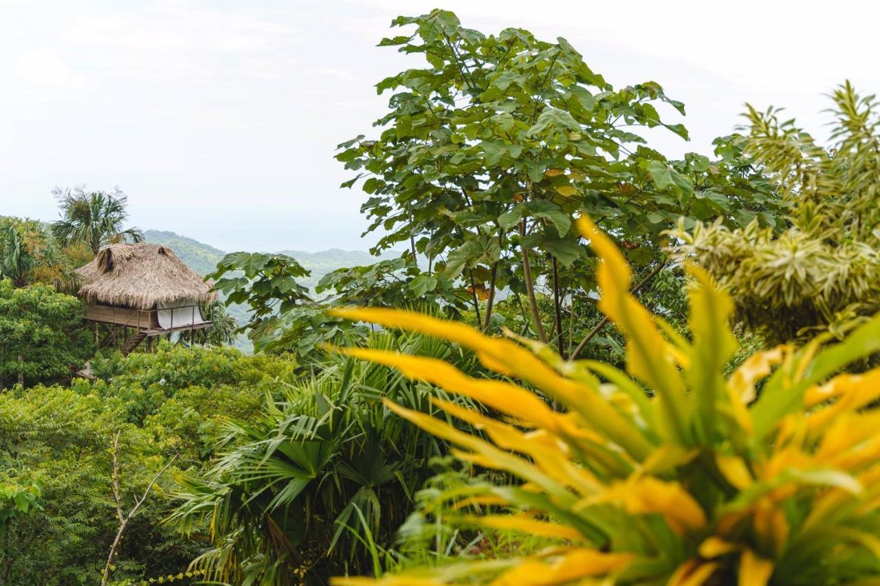 Taorayina Nature Lodge- Immersed In The Forest Эль-Саино Экстерьер фото