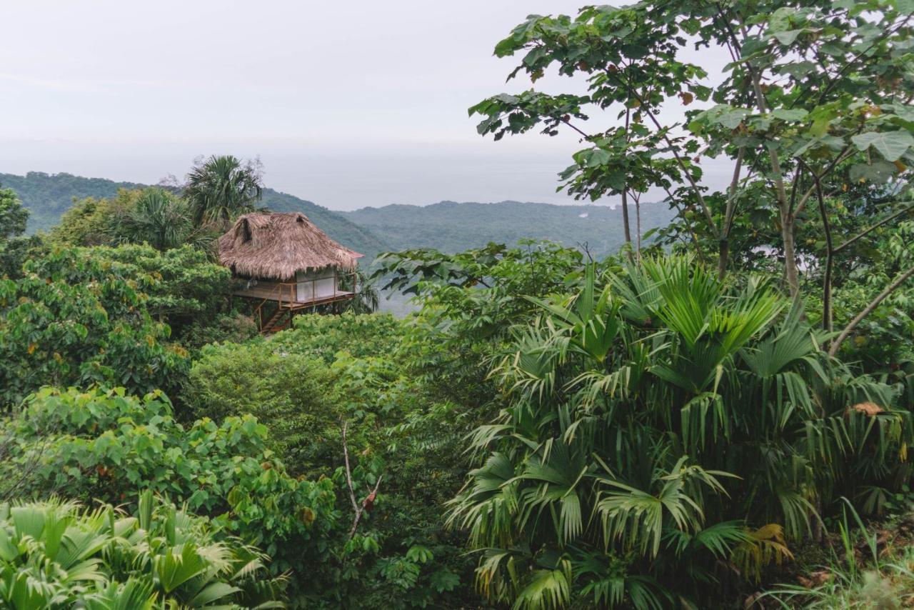 Taorayina Nature Lodge- Immersed In The Forest Эль-Саино Экстерьер фото