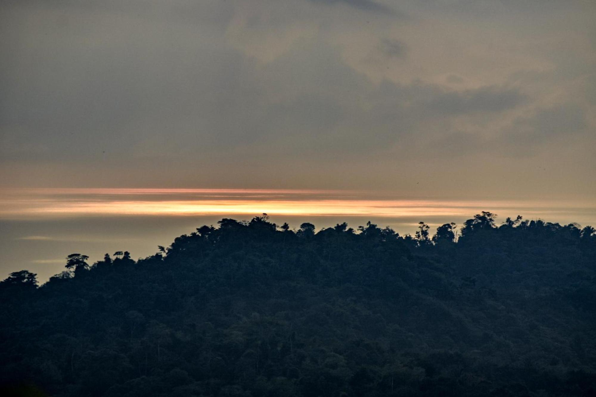 Taorayina Nature Lodge- Immersed In The Forest Эль-Саино Экстерьер фото
