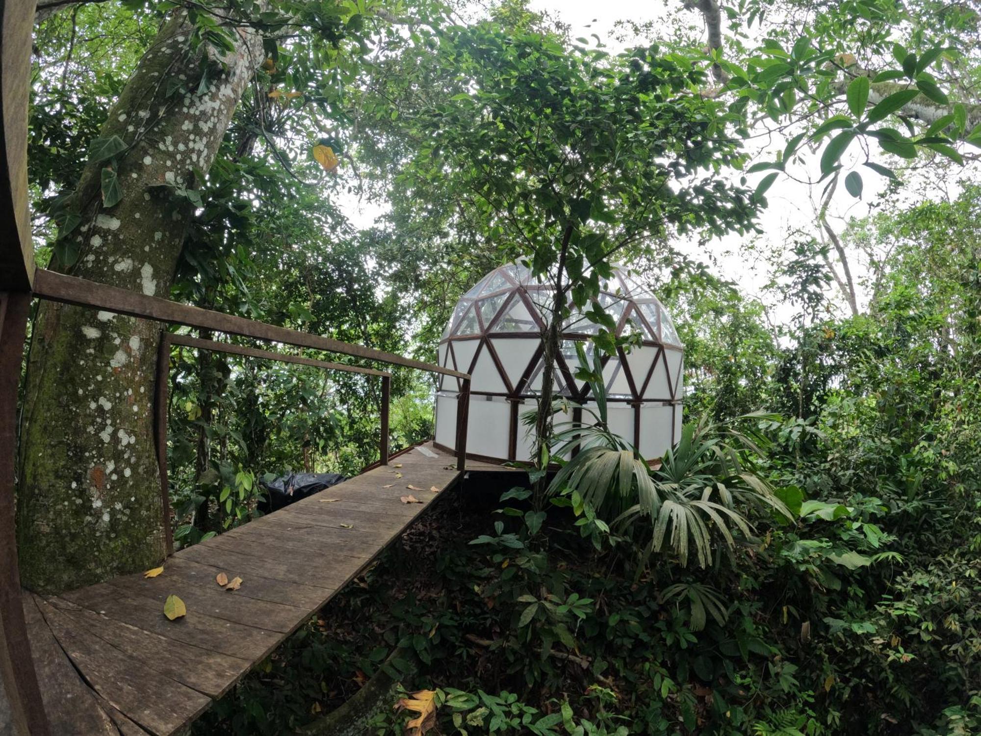 Taorayina Nature Lodge- Immersed In The Forest Эль-Саино Экстерьер фото