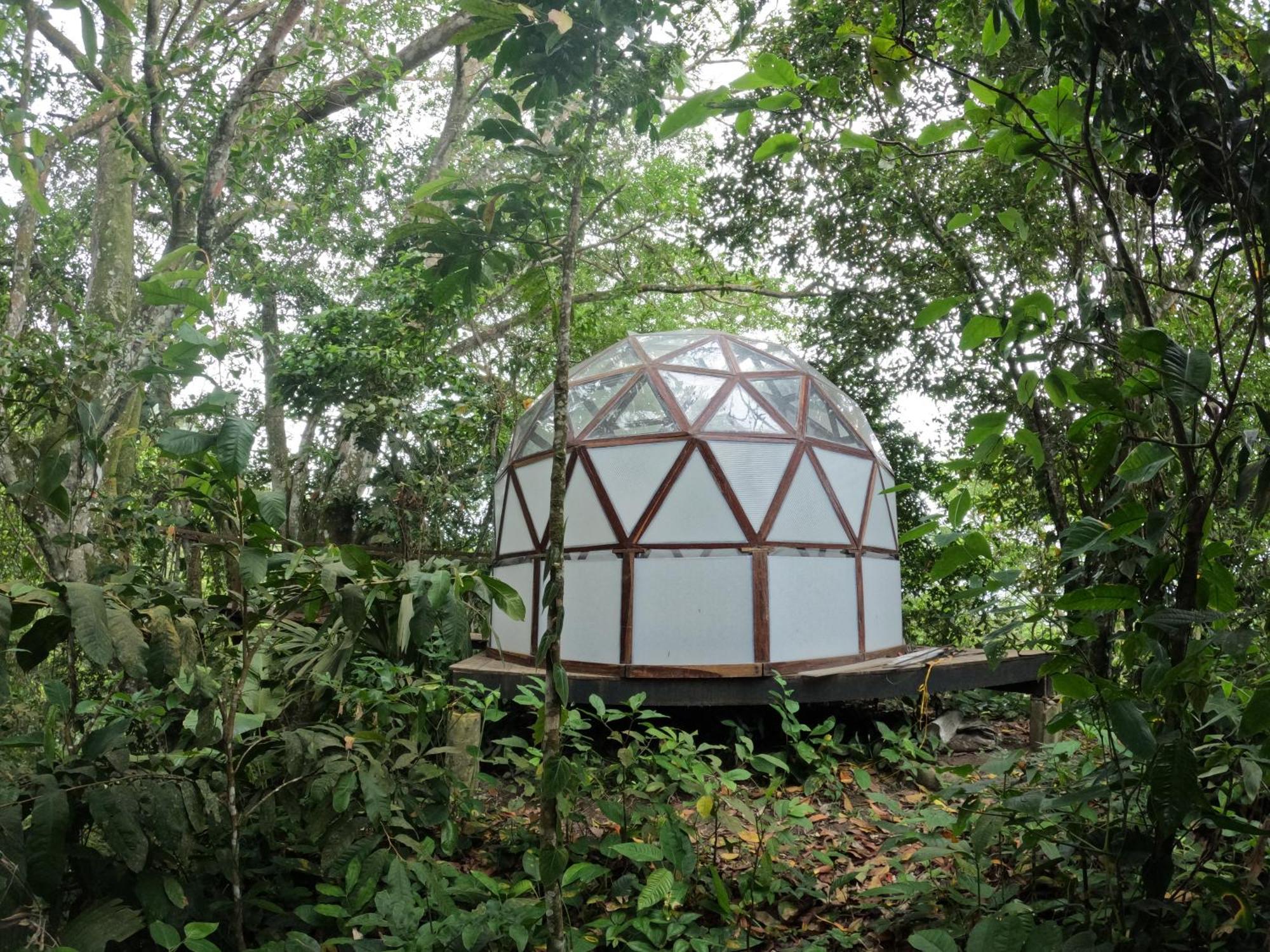 Taorayina Nature Lodge- Immersed In The Forest Эль-Саино Экстерьер фото