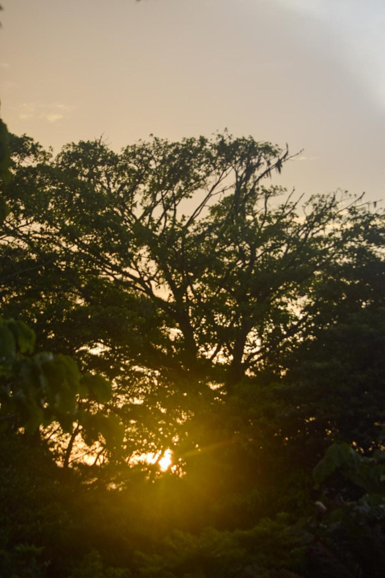 Taorayina Nature Lodge- Immersed In The Forest Эль-Саино Экстерьер фото
