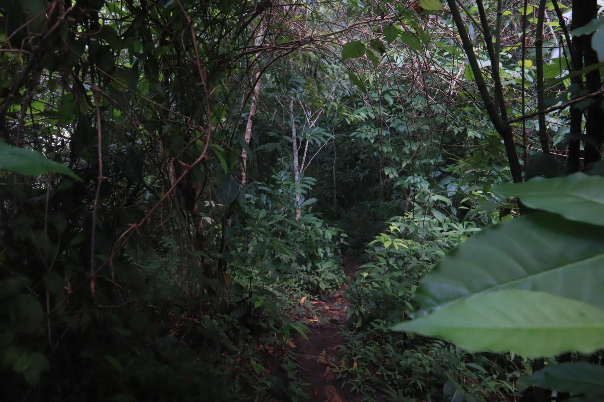 Taorayina Nature Lodge- Immersed In The Forest Эль-Саино Экстерьер фото